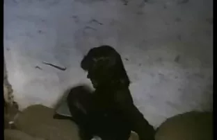 XXX مصور مغر شقراء زوجين سكسي مترجم اخوان شابين