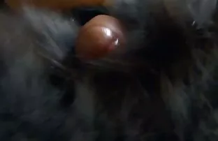 XXX المعلم البغيضة الشد سكسي كرتون مترجم من الطلاب الجدد في متعة هينيسي و ايلي